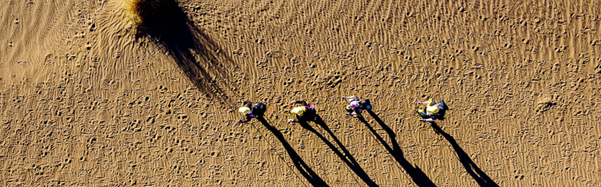 Inscriptions ouvertes pour le Trek Elles Marchent 2024